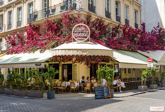 Les cafés les plus célèbres de Paris : découvrir le charme et l'histoire du café à Paris